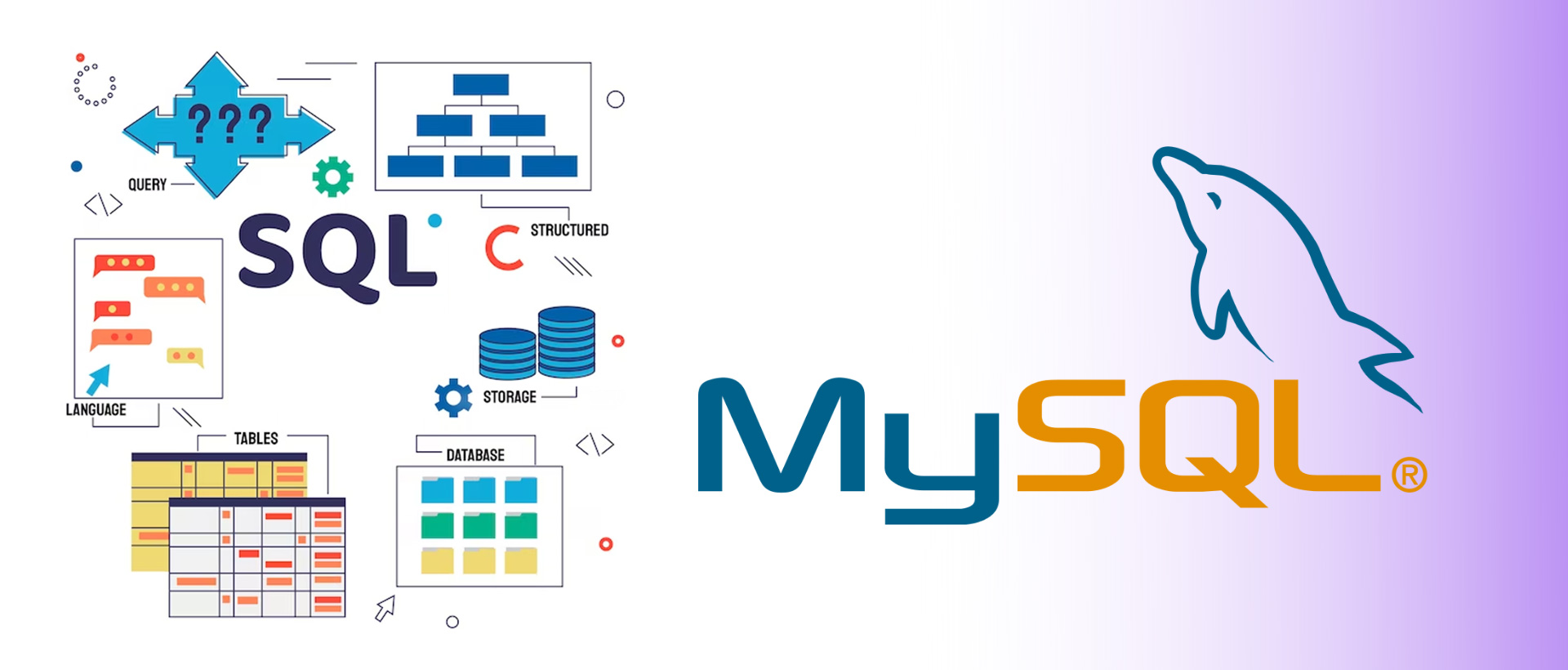 MySQL Summer Tarining